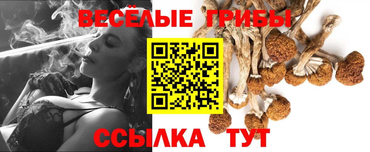 Чусовой  Галлюциногенные грибы Magic Shrooms  Вход с VPN  Псилоцибиновые грибы ЛСД 